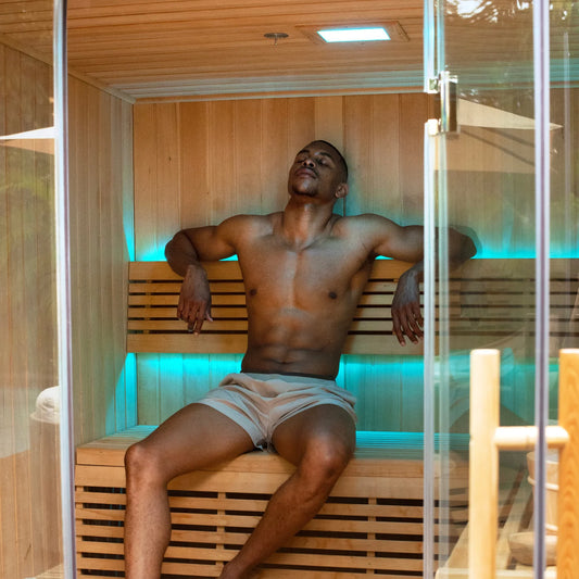Revive 6 Person Traditional Sauna
